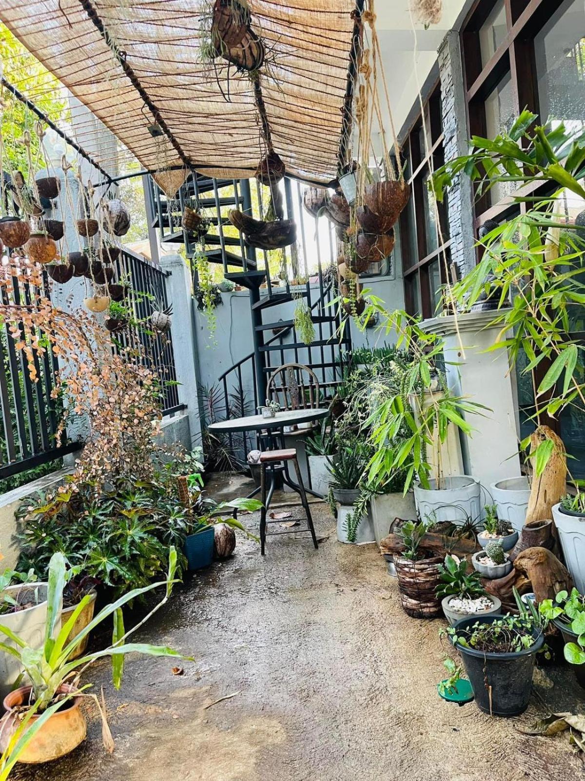 Amanzi Residence Канди Екстериор снимка
